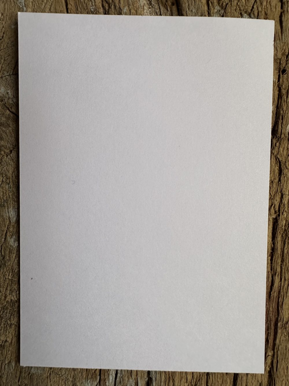 Petite carte neutre offerte
