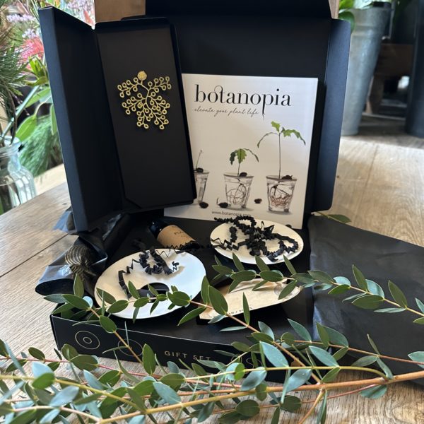 Coffret Délicat et subtil