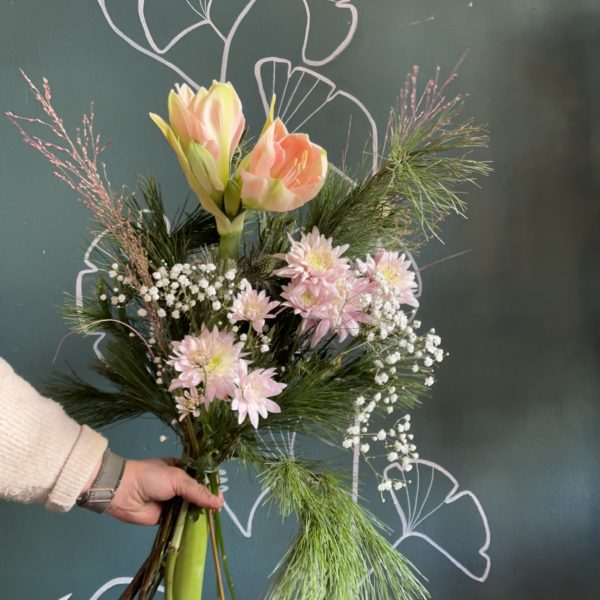 Amaryllis en beauté